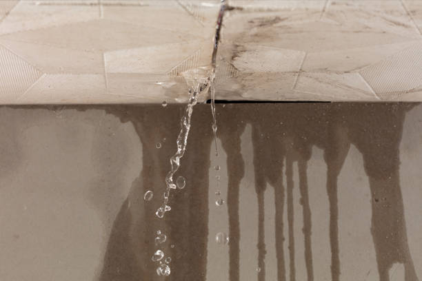 Professional Structural Drying technician working in Pearl, MS